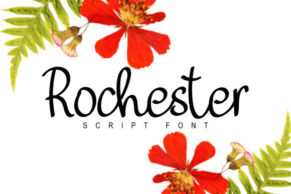 Rochester Font: Elegant Script for Business Branding